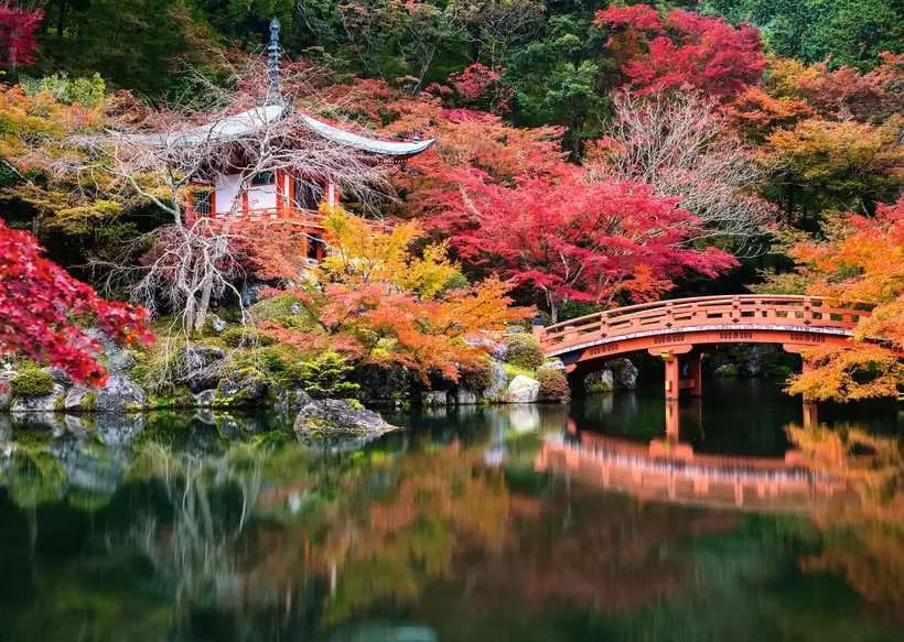 Beautiful Gardens Puzzle Daigo-ji, Kyoto, Japan (1000 Teile)