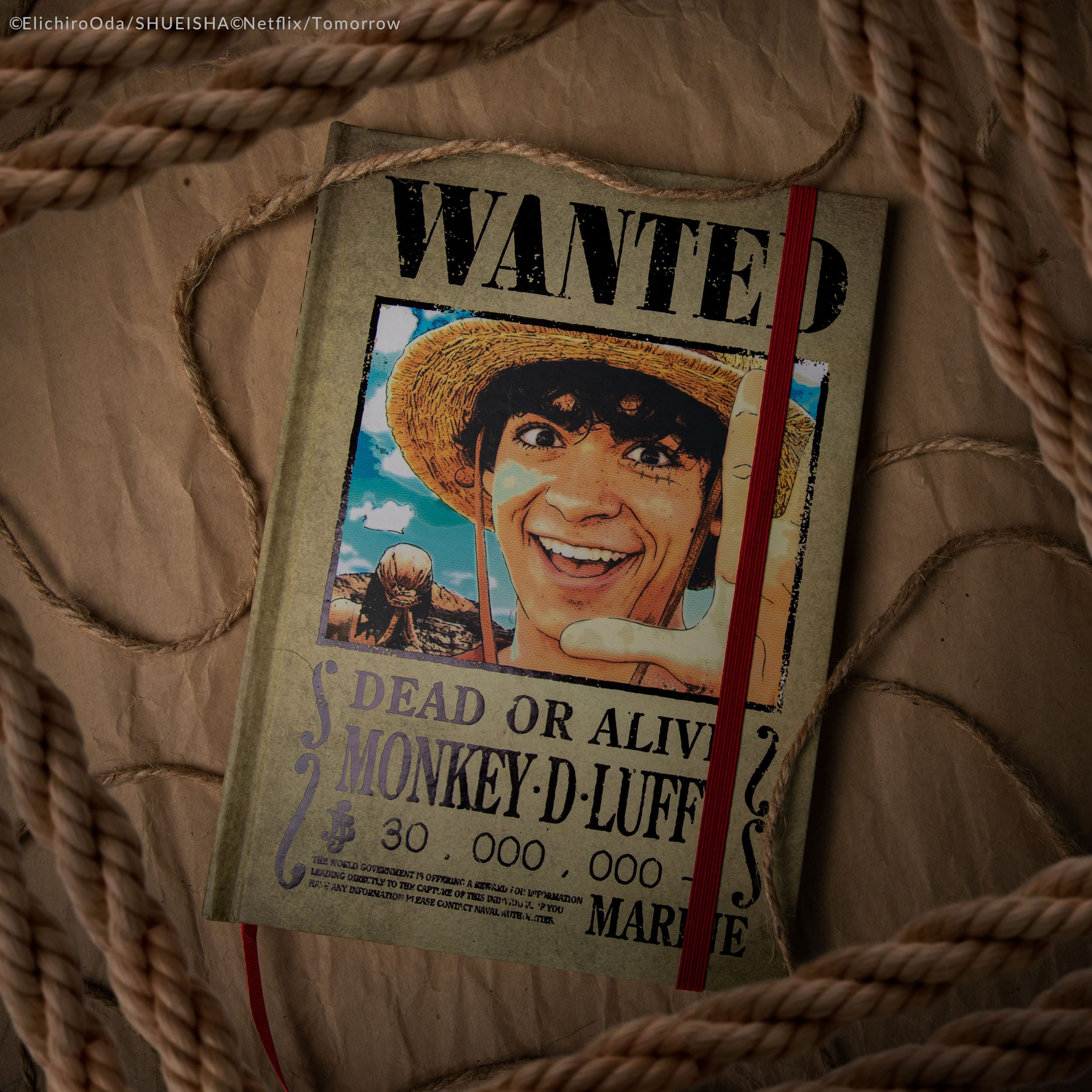 One Piece Notizbuch Wanted Posters