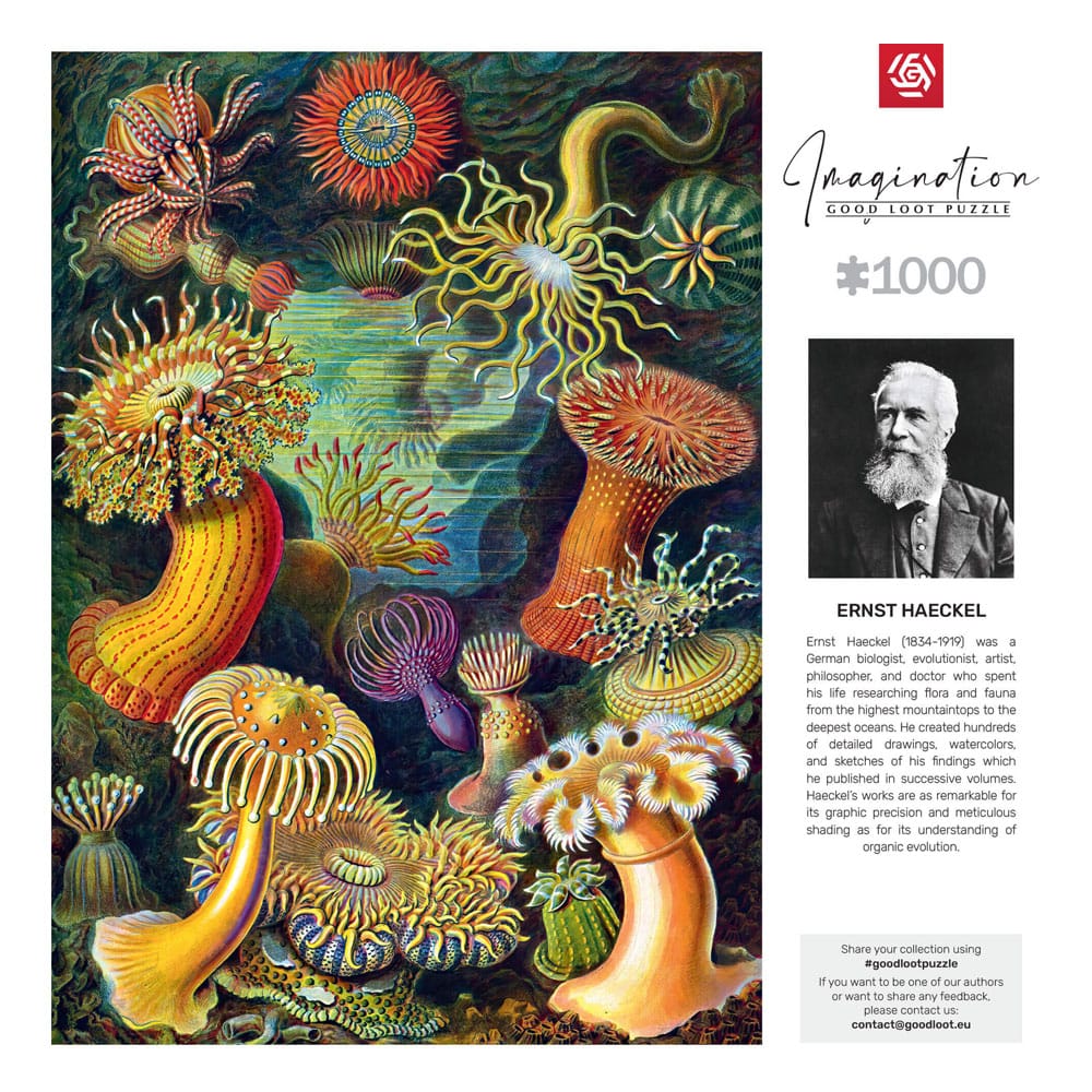 Ernst Haeckel Imagination Puzzle Sea Anemones/Stworzenia morskie (1000 Teile)                             